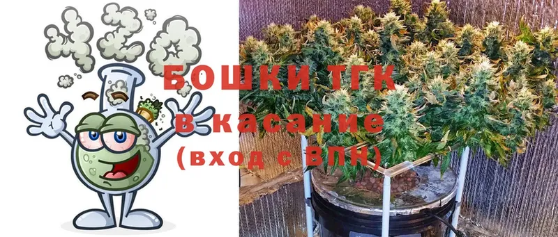 Каннабис SATIVA & INDICA  Ставрополь 